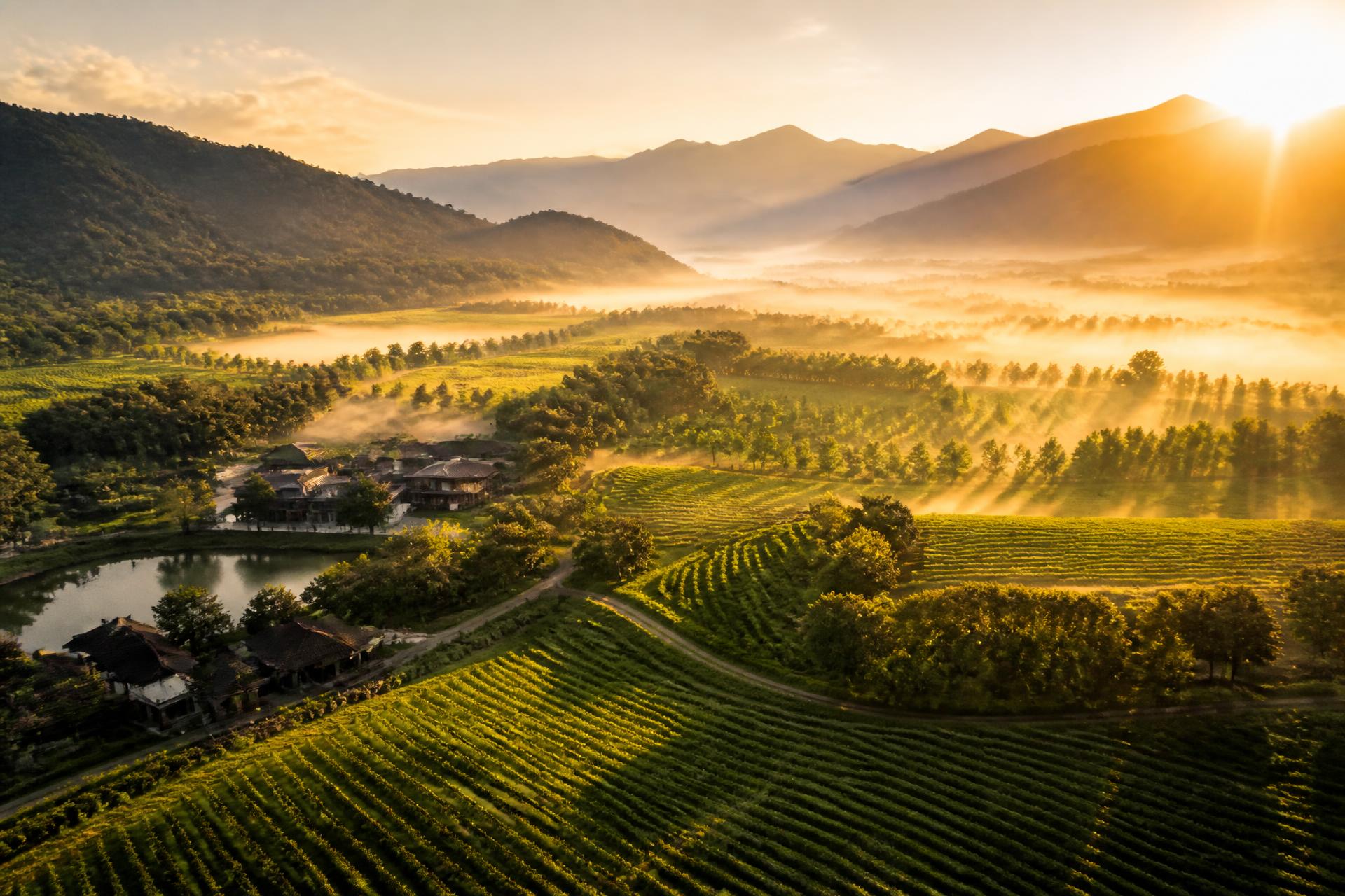 Aerial view of AYORA managed farmland valley at golden sunrise with misty mountains