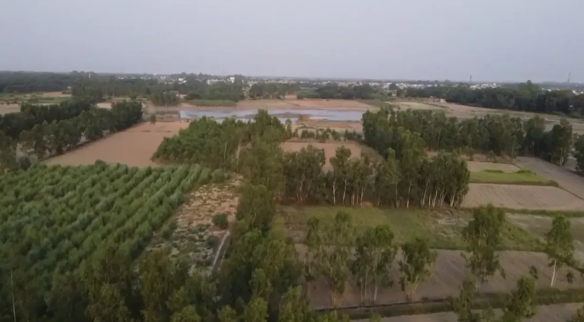 Aerial drone view of AYORA managed farmland with water bodies and tree lines