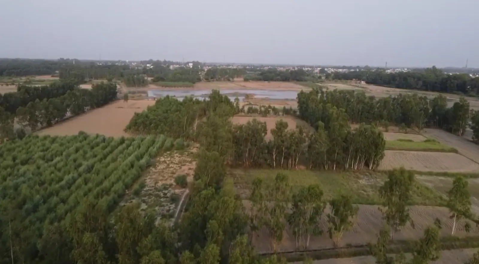 Aerial drone view of AYORA managed farmland with water bodies and tree lines